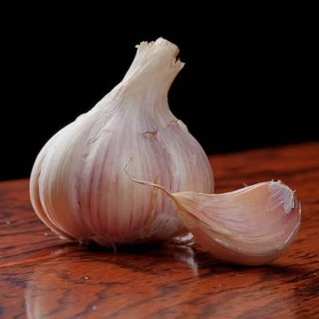 Garlic Bulb ingredient in PressureCalmX